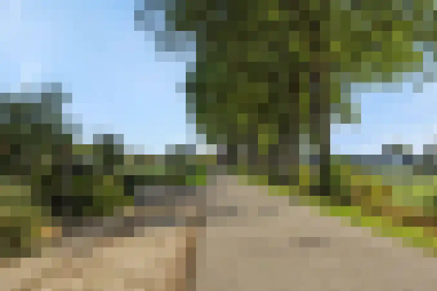 Liesdaalweg 1 Maren-Kessel thumbnail 68