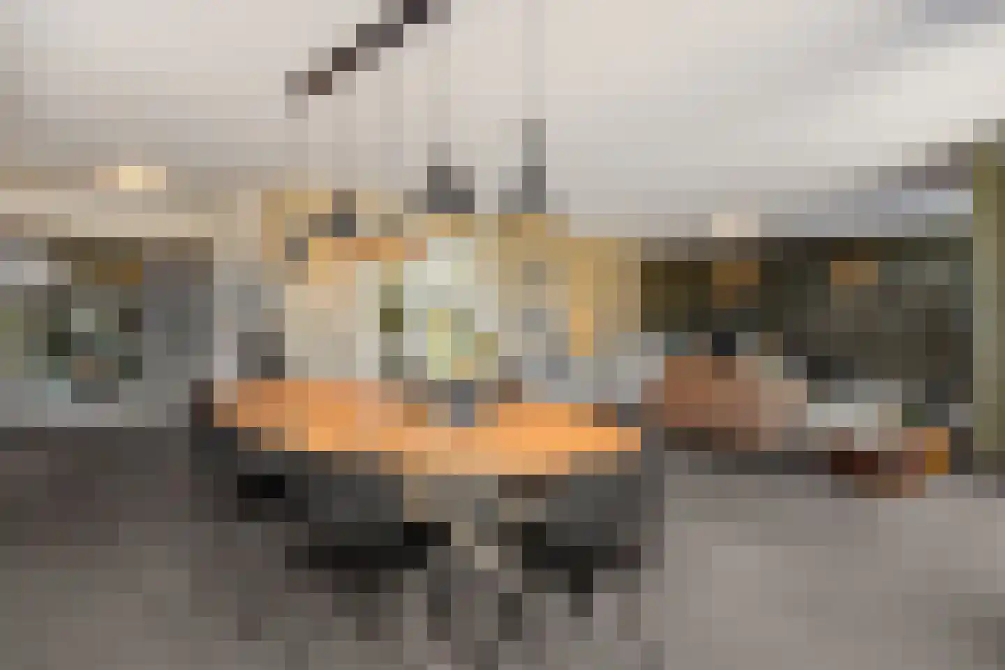 Liesdaalweg 1 Maren-Kessel thumbnail 7