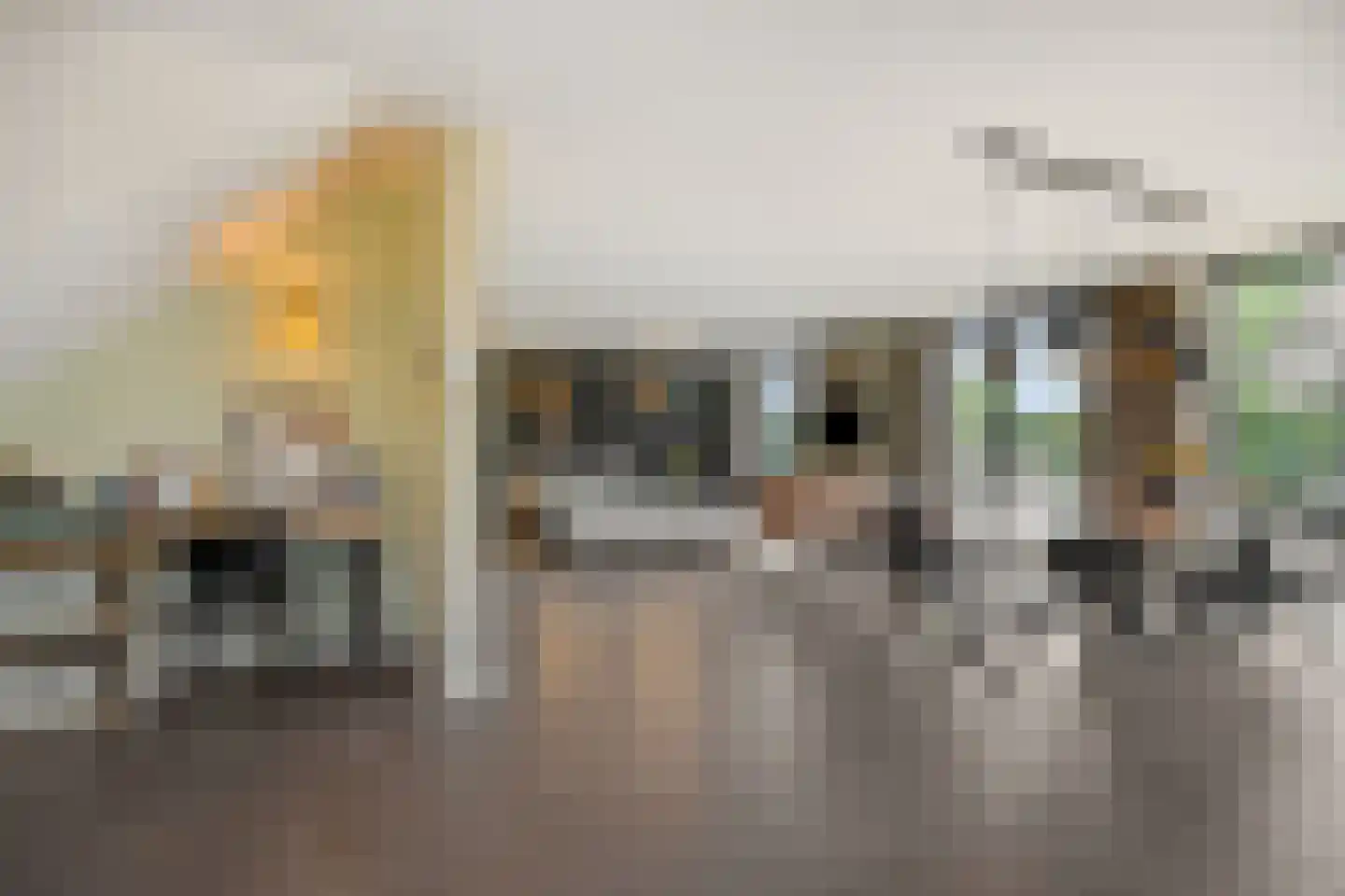Liesdaalweg 1 Maren-Kessel thumbnail 8
