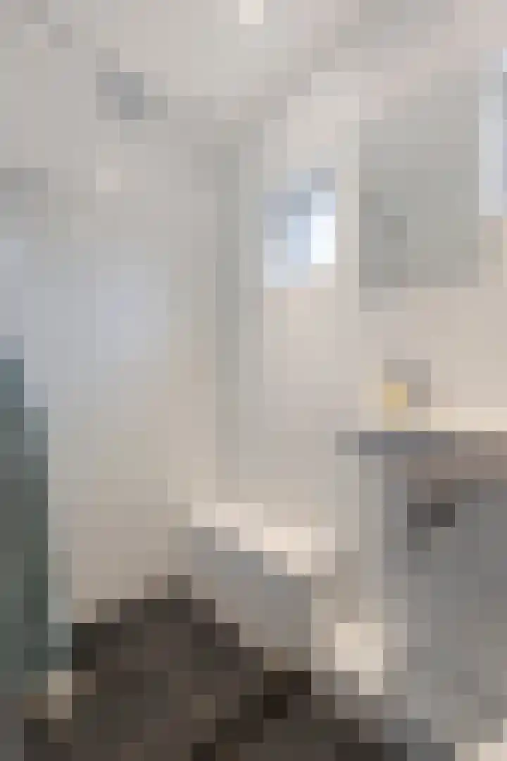 Liesdel 29 Nieuwpoort thumbnail 22