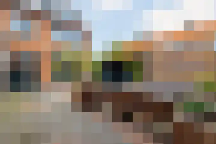 Liesdel 29 Nieuwpoort thumbnail 5