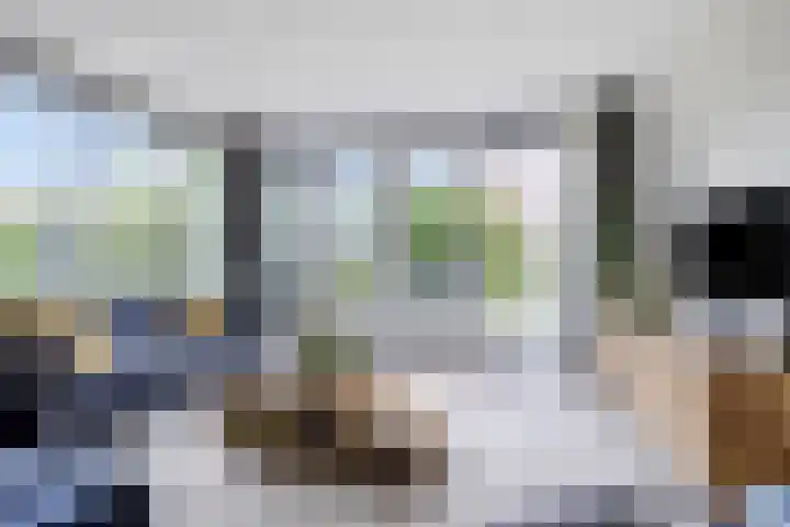 Liesgras 1 Zeewolde thumbnail 13