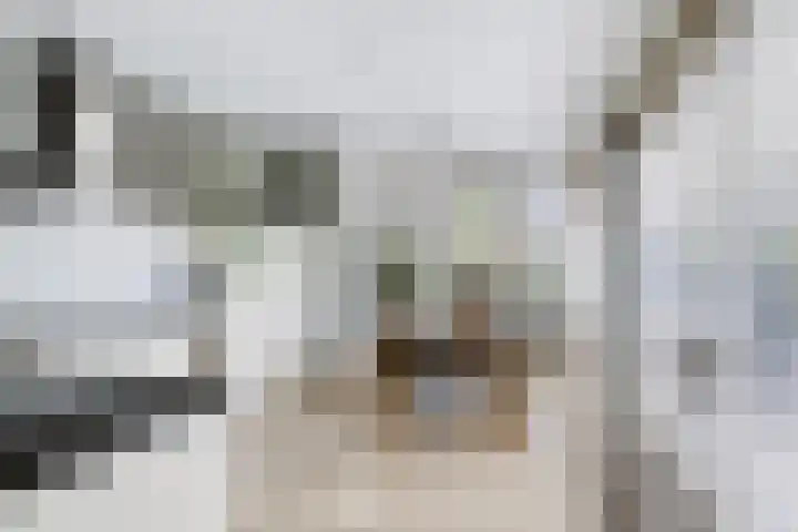 Liesgras 1 Zeewolde thumbnail 17