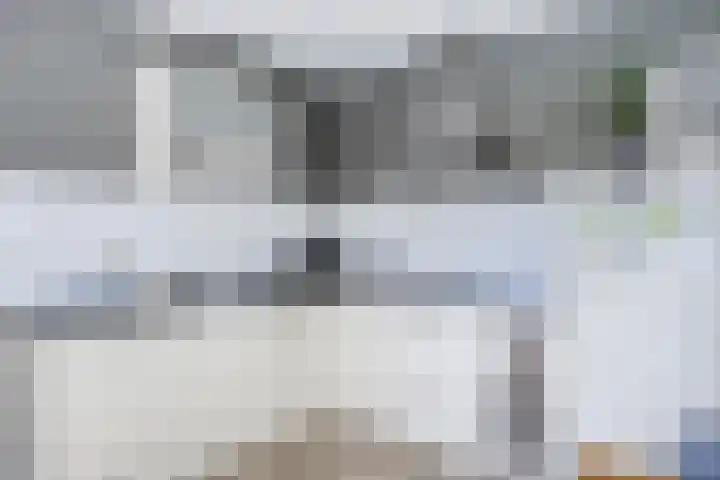 Liesgras 1 Zeewolde thumbnail 18