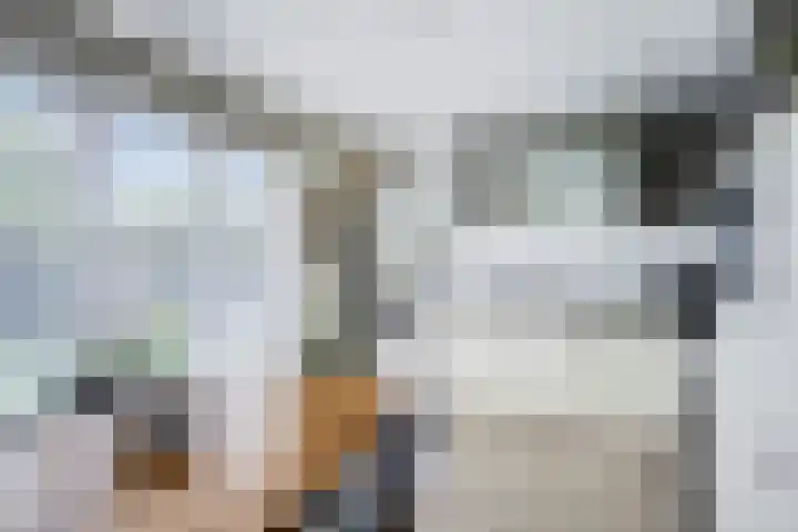 Liesgras 1 Zeewolde thumbnail 19