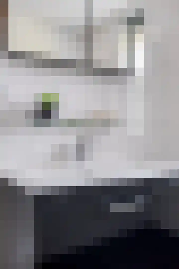 Liesgras 1 Zeewolde thumbnail 25