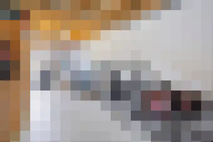 Liesgras 1 Zeewolde thumbnail 33