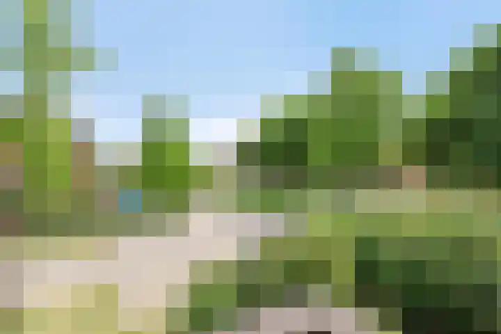 Liesgras 1 Zeewolde thumbnail 35