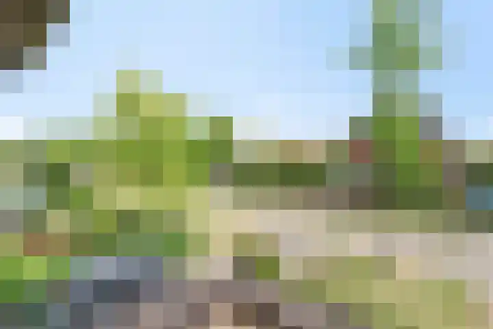 Liesgras 1 Zeewolde thumbnail 36