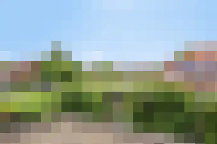 Liesgras 1 Zeewolde thumbnail 37