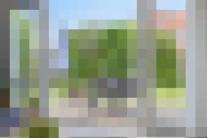 Liesgras 1 Zeewolde thumbnail 38