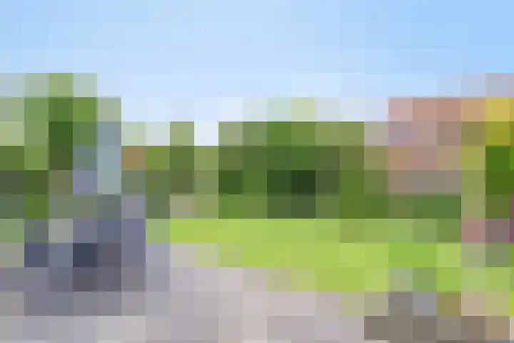 Liesgras 1 Zeewolde thumbnail 39
