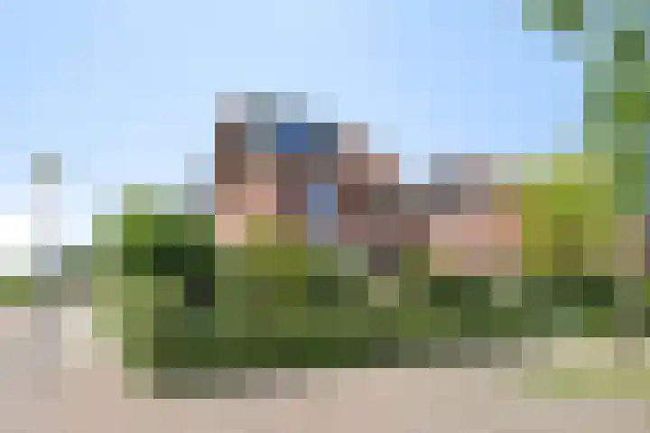 Liesgras 1 Zeewolde thumbnail 4