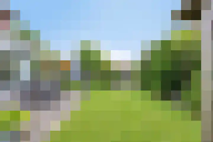 Liesgras 1 Zeewolde thumbnail 40