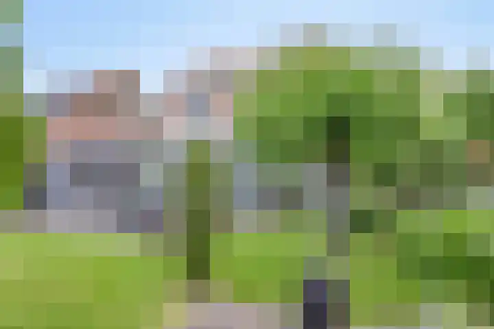 Liesgras 1 Zeewolde thumbnail 42