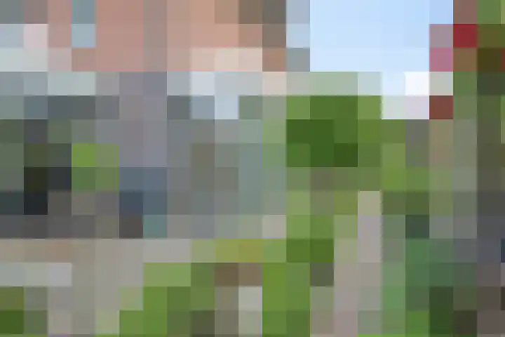 Liesgras 1 Zeewolde thumbnail 43