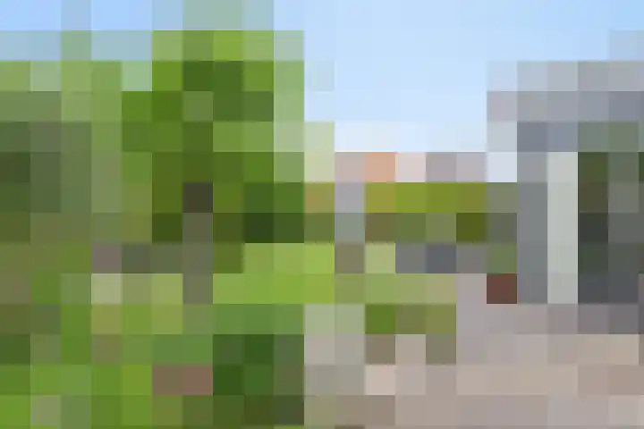 Liesgras 1 Zeewolde thumbnail 44