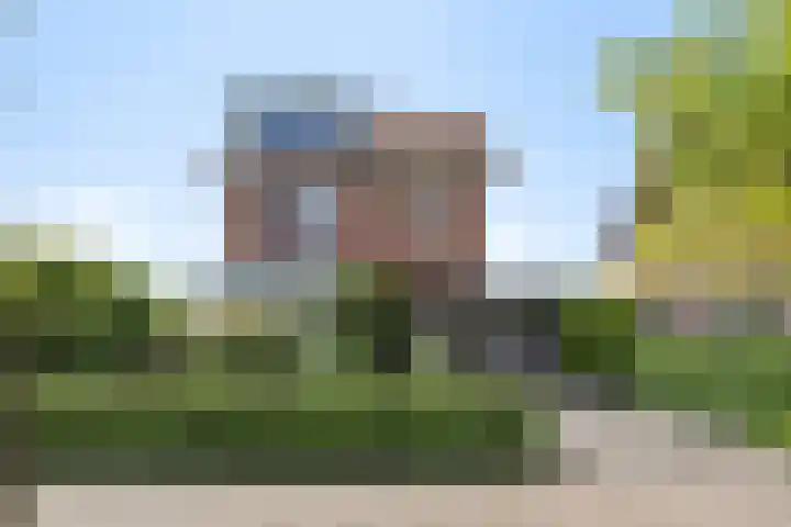 Liesgras 1 Zeewolde thumbnail 45