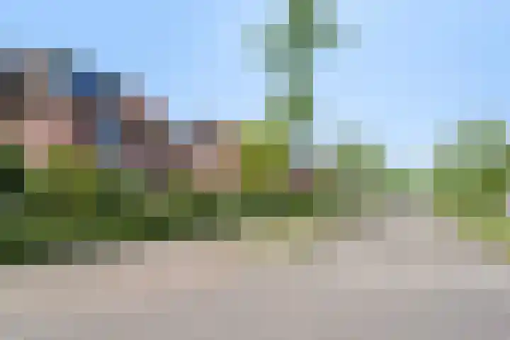 Liesgras 1 Zeewolde thumbnail 5