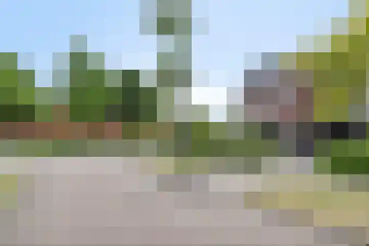 Liesgras 1 Zeewolde thumbnail 8