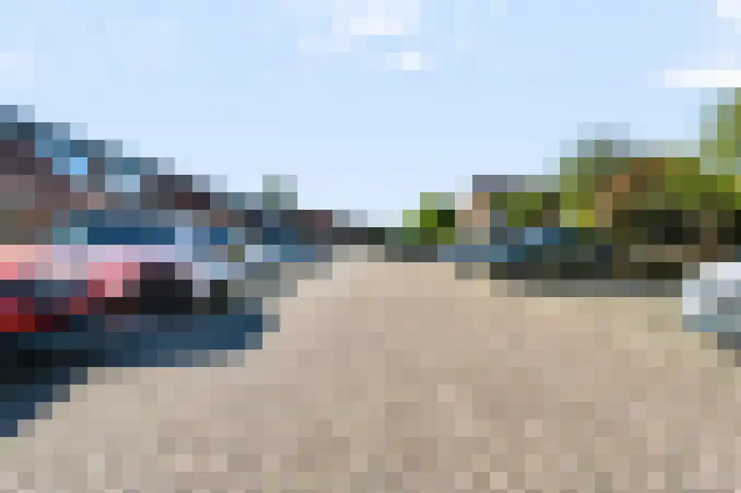 Liesgras 26 Spijkenisse thumbnail 10