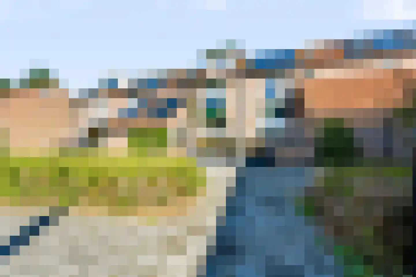 Liesgras 26 Spijkenisse thumbnail 11