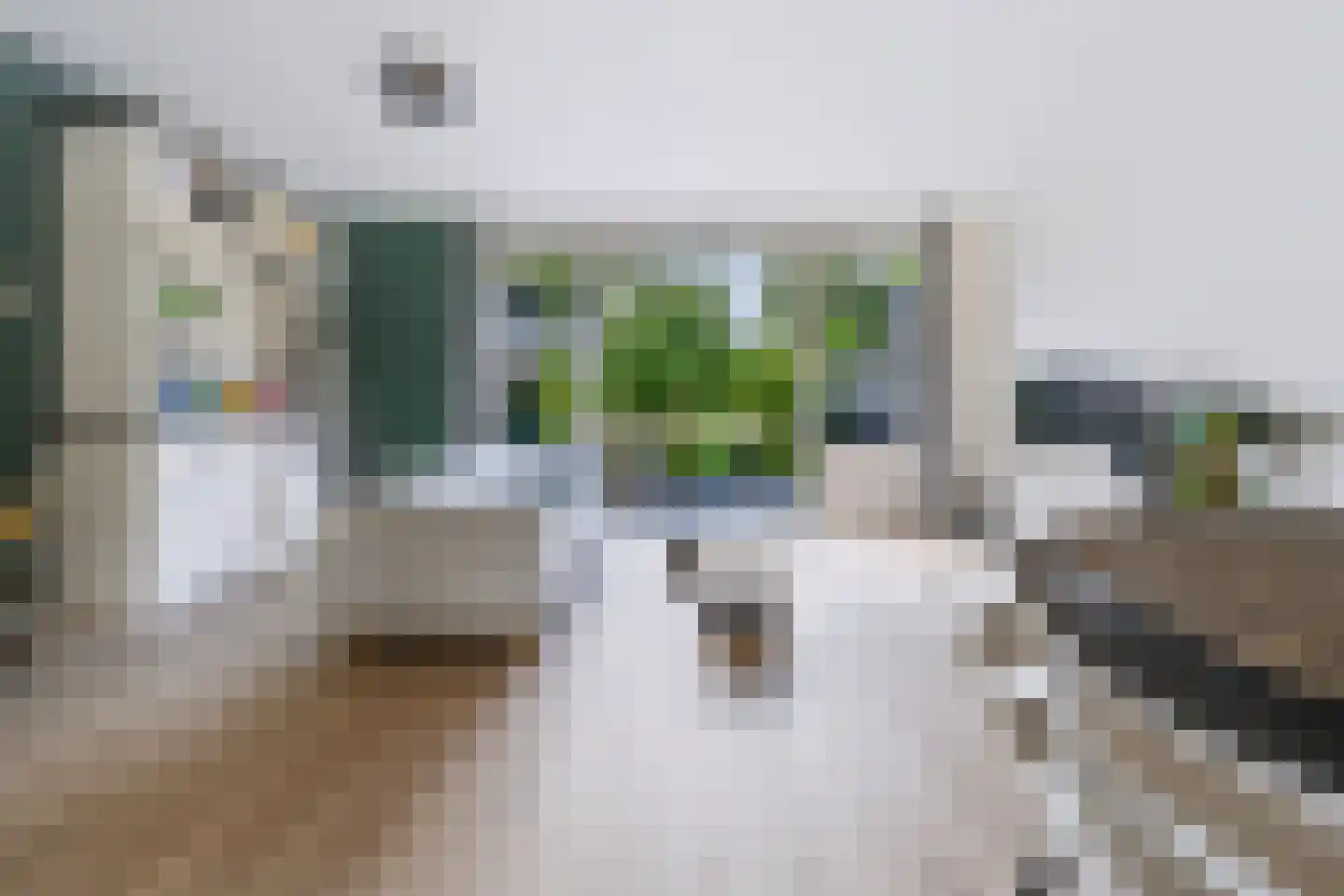 Liesgras 26 Spijkenisse thumbnail 15