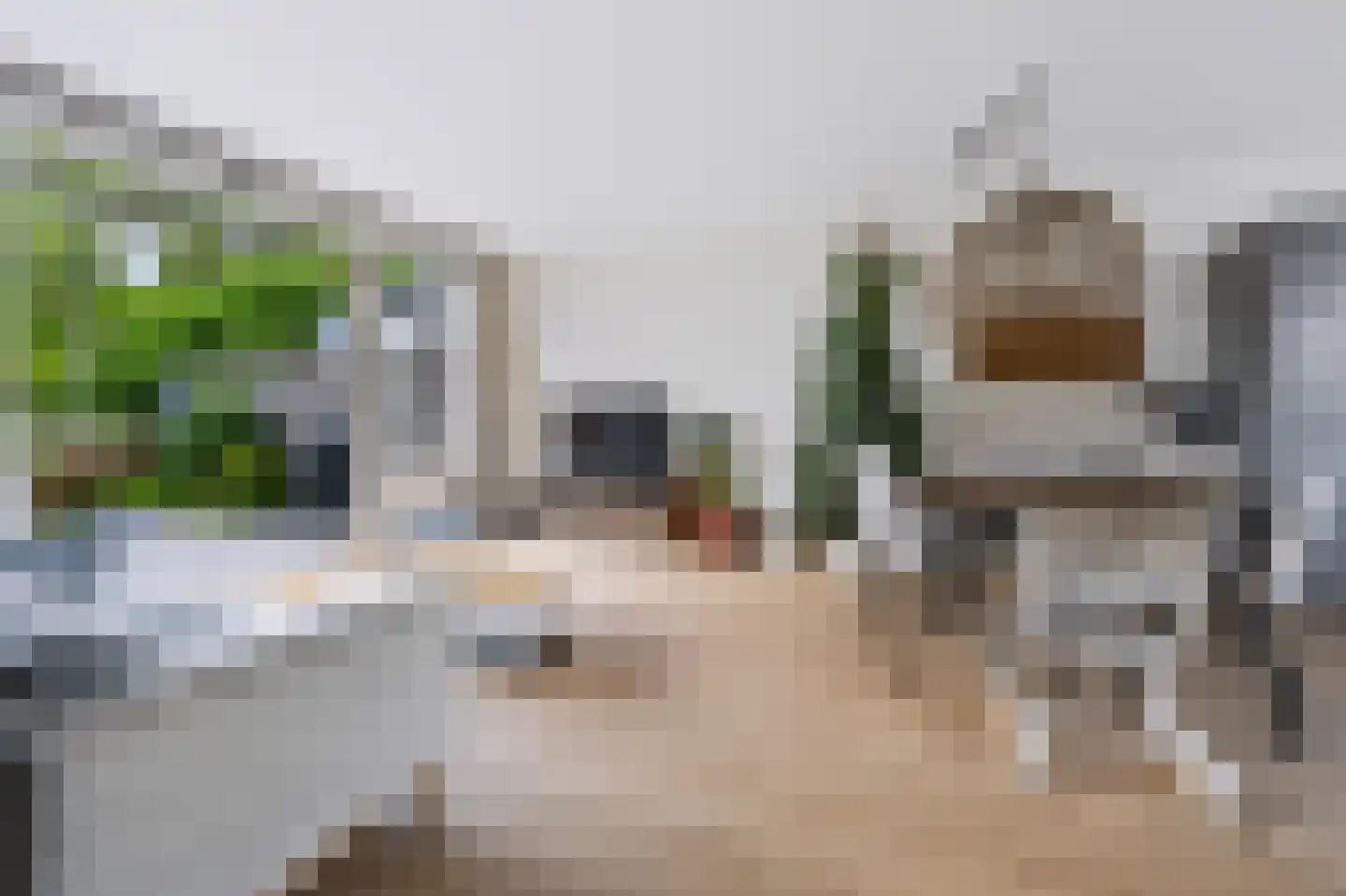 Liesgras 26 Spijkenisse thumbnail 16