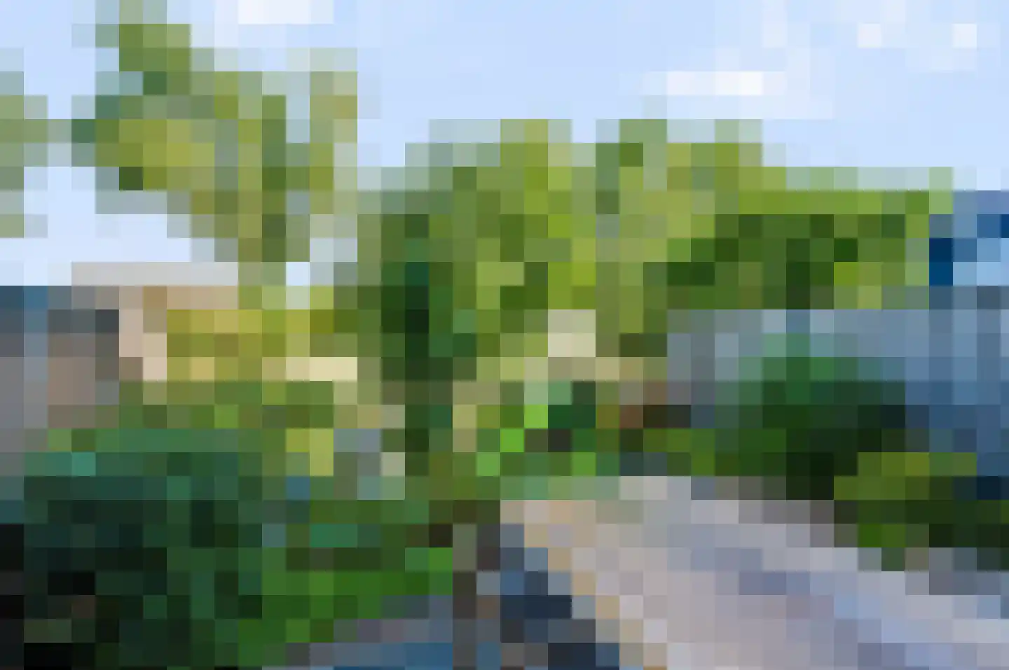 Liesgras 26 Spijkenisse thumbnail 17