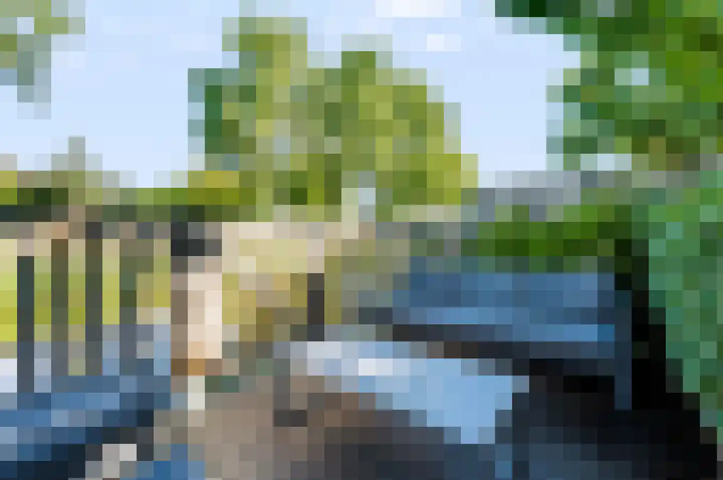 Liesgras 26 Spijkenisse thumbnail 18