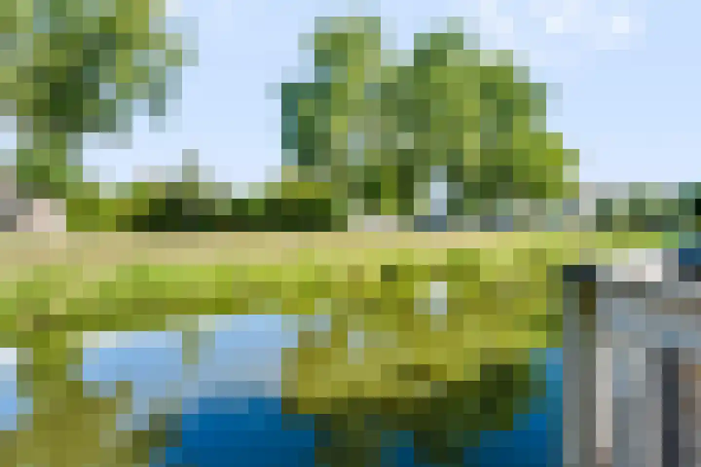 Liesgras 26 Spijkenisse thumbnail 19