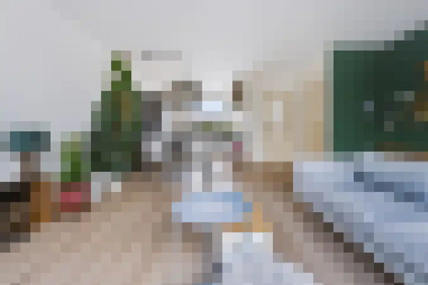 Liesgras 26 Spijkenisse thumbnail 21