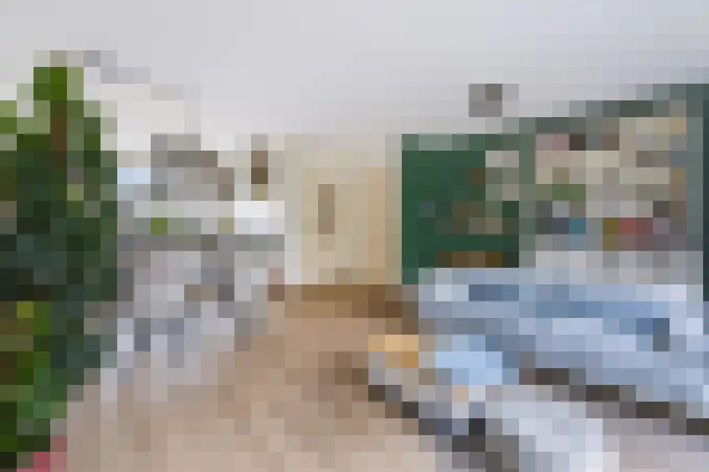 Liesgras 26 Spijkenisse thumbnail 22
