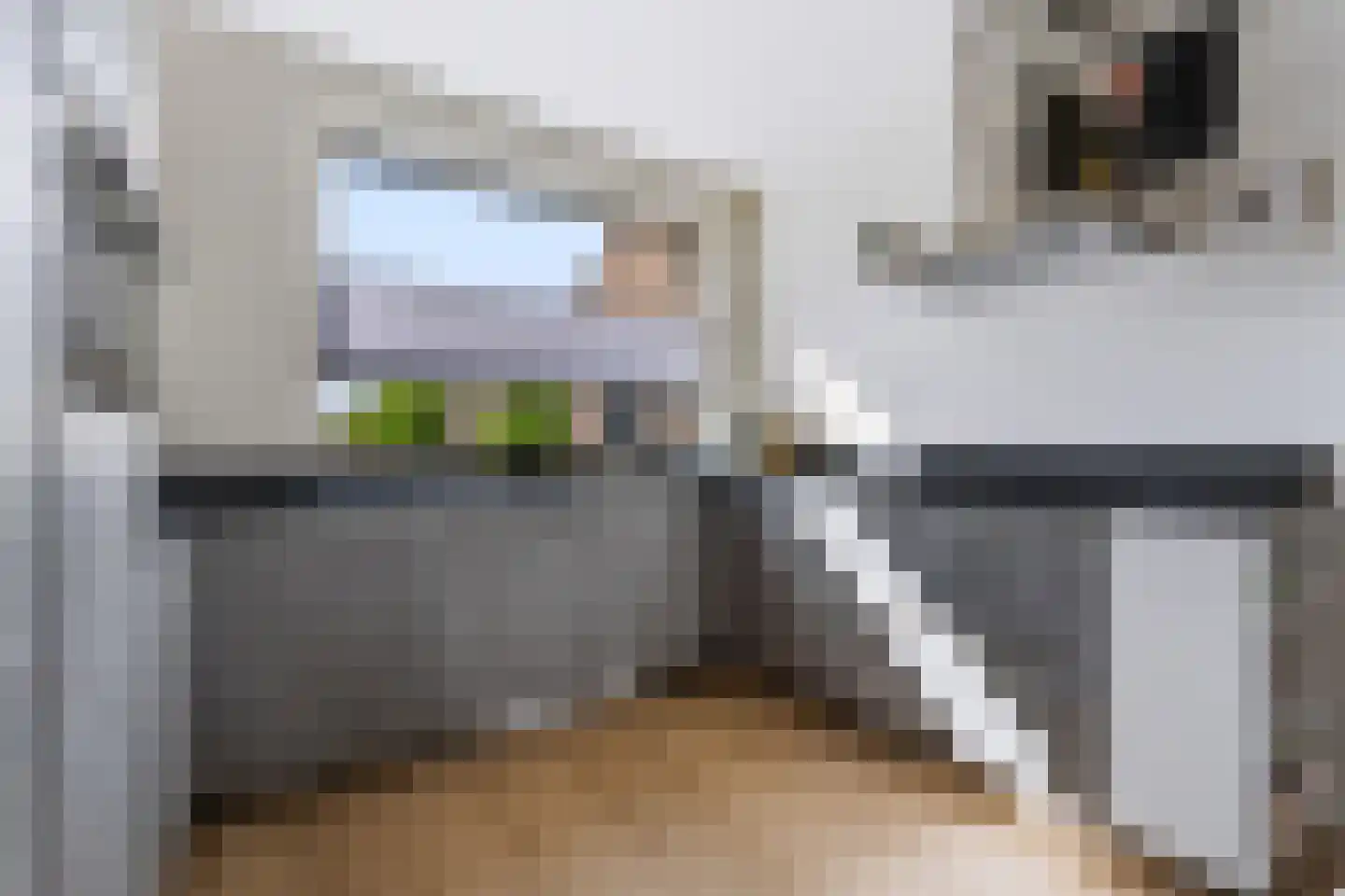 Liesgras 26 Spijkenisse thumbnail 25