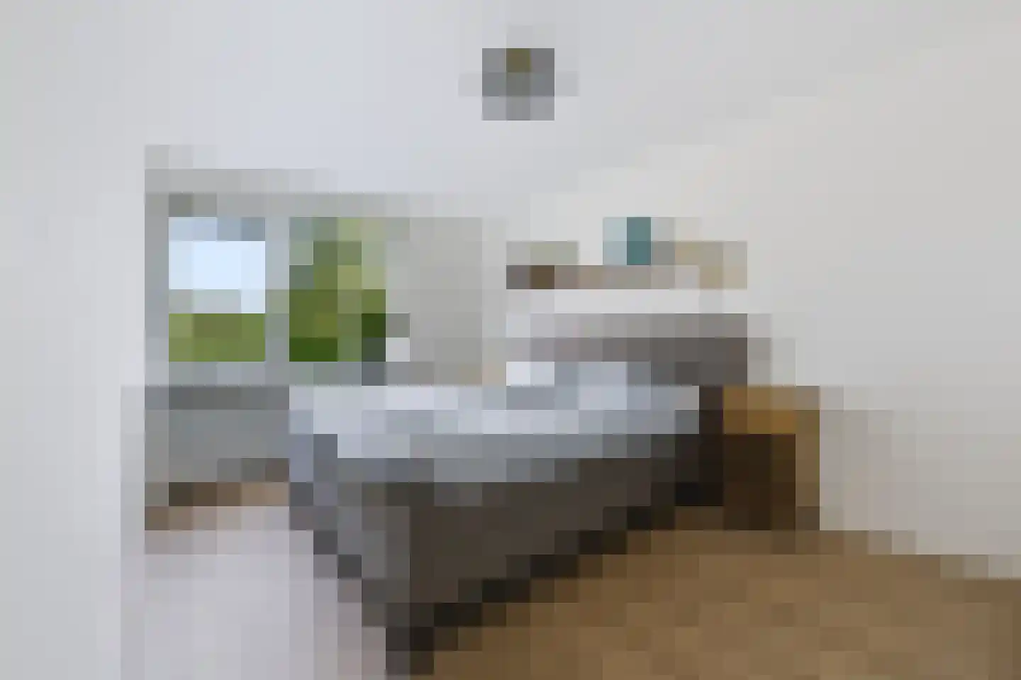 Liesgras 26 Spijkenisse thumbnail 27