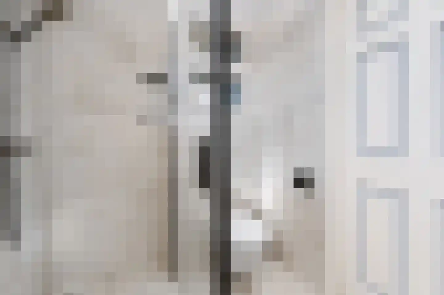 Liesgras 26 Spijkenisse thumbnail 32