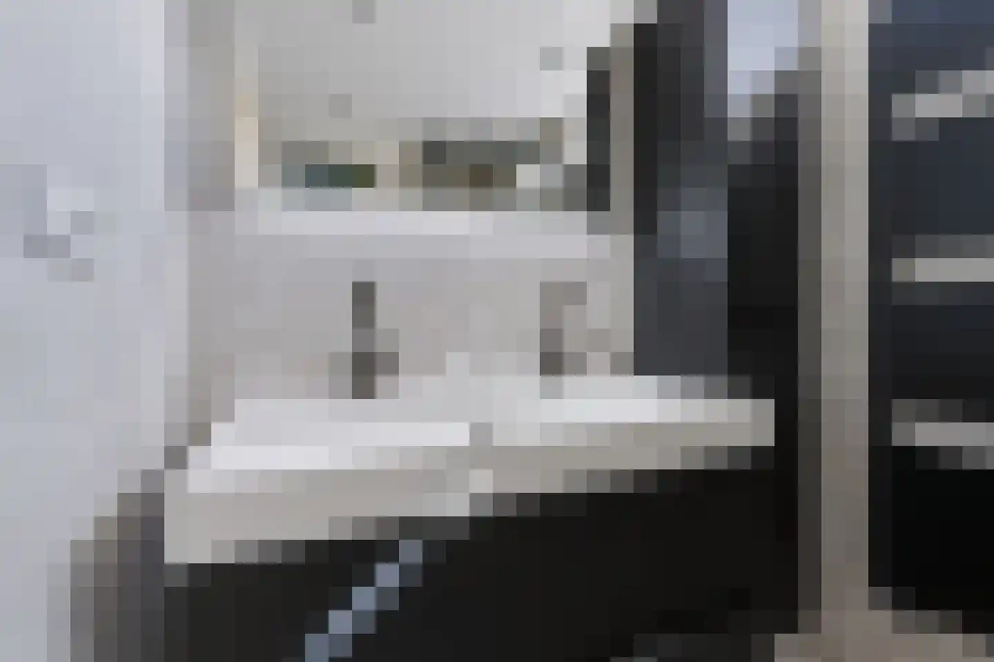 Liesgras 26 Spijkenisse thumbnail 33