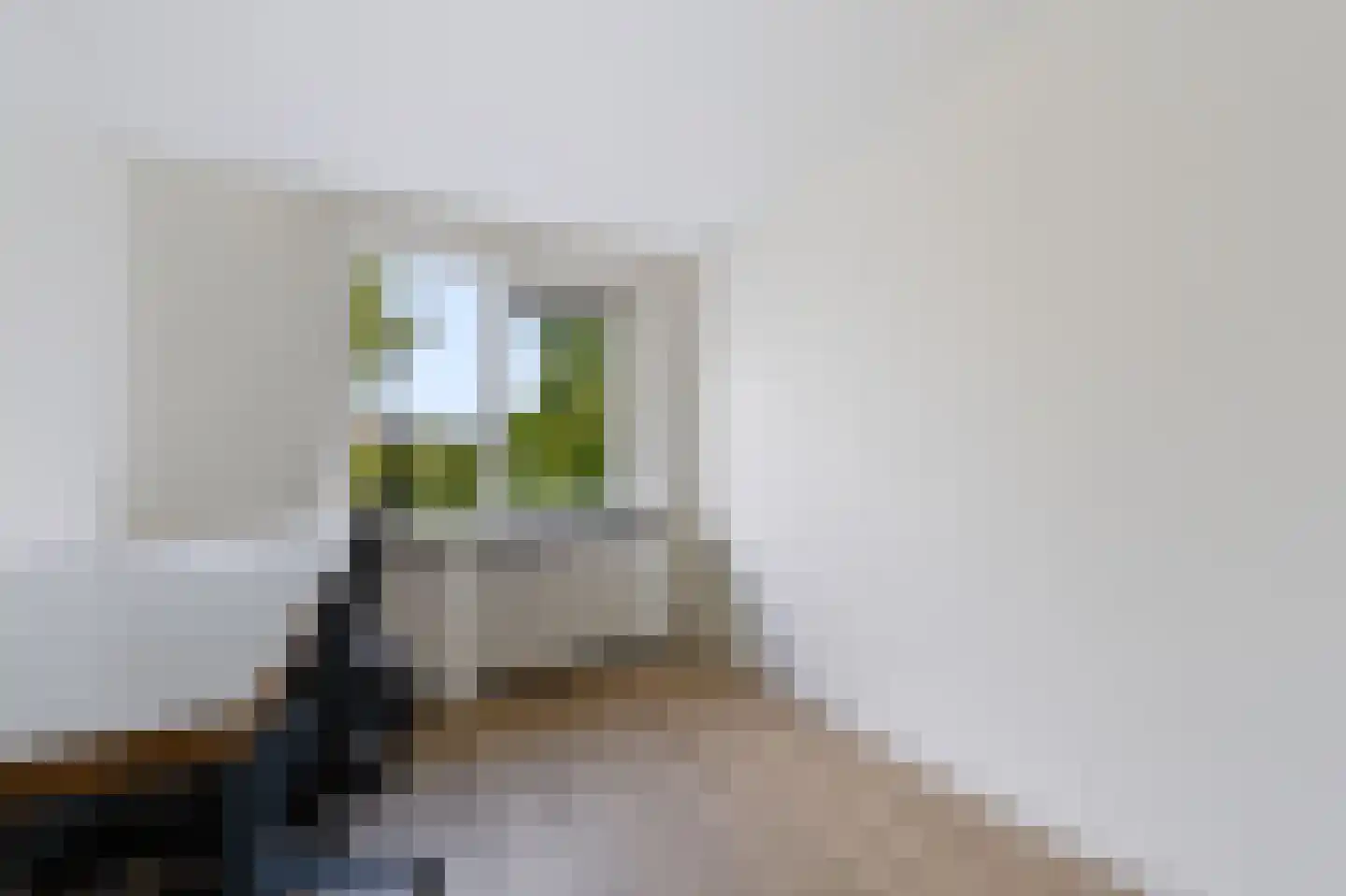 Liesgras 26 Spijkenisse thumbnail 35