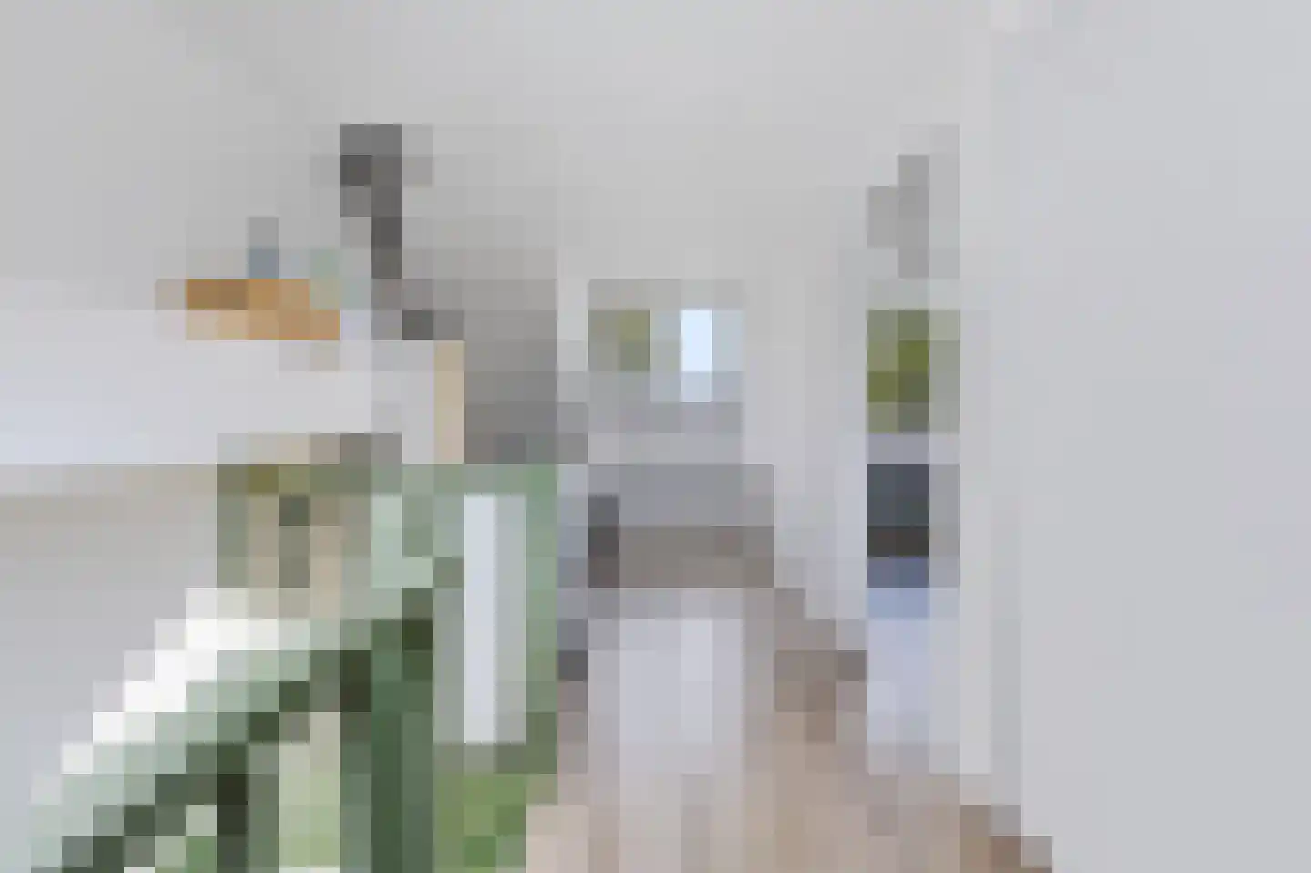 Liesgras 26 Spijkenisse thumbnail 37