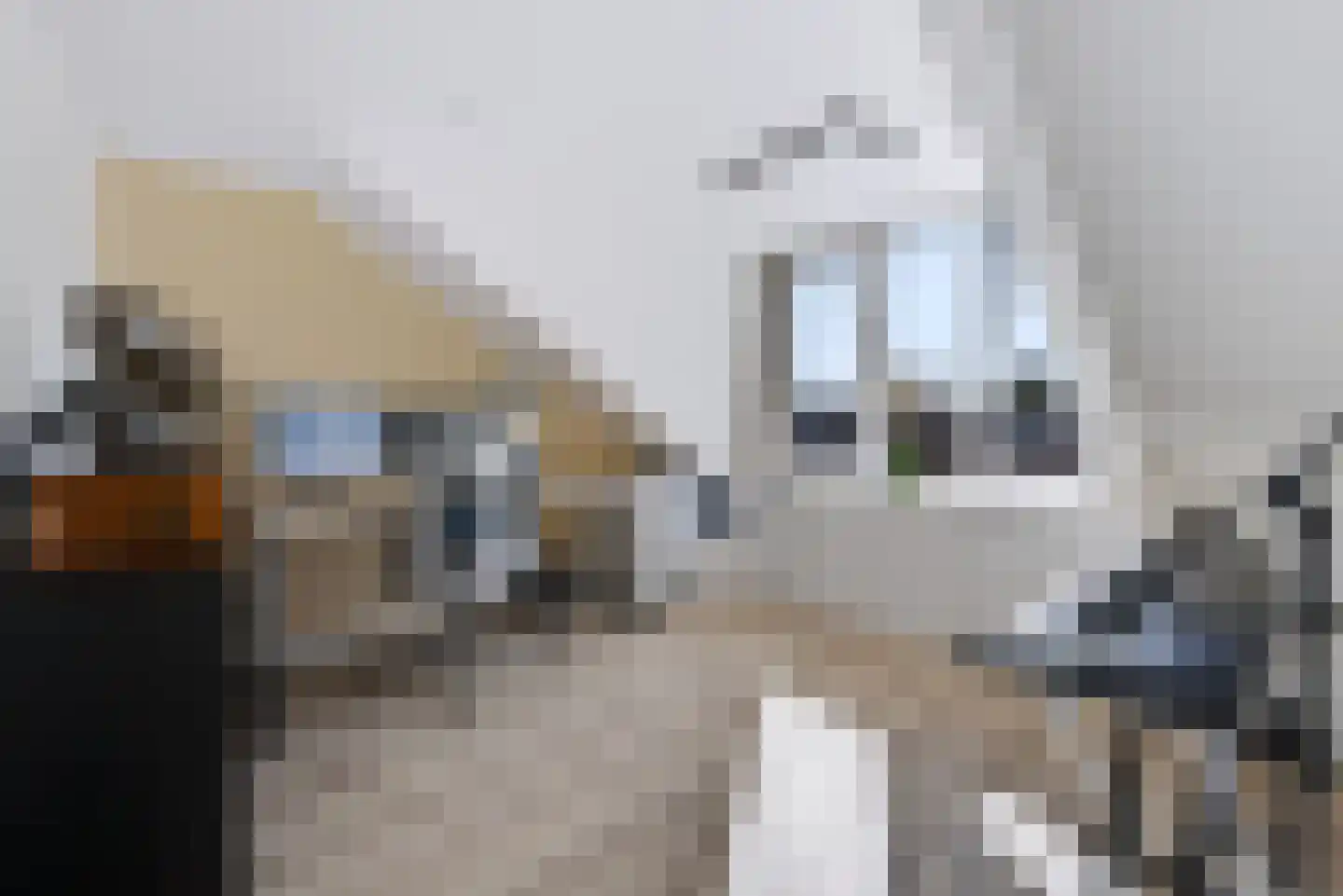 Liesgras 26 Spijkenisse thumbnail 38