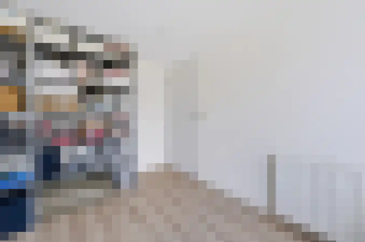 Liesgras 26 Spijkenisse thumbnail 41