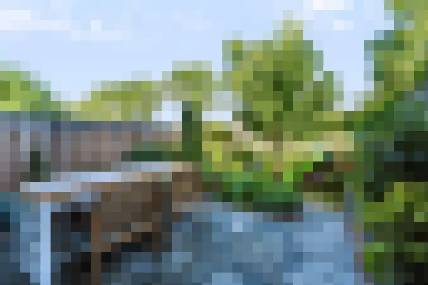 Liesgras 26 Spijkenisse thumbnail 5