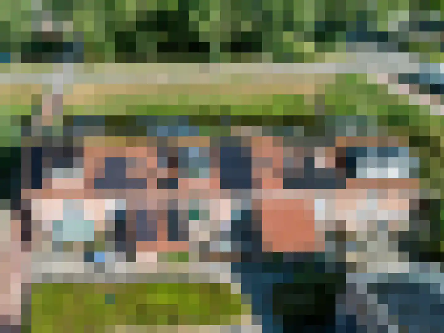 Liesgras 26 Spijkenisse thumbnail 6