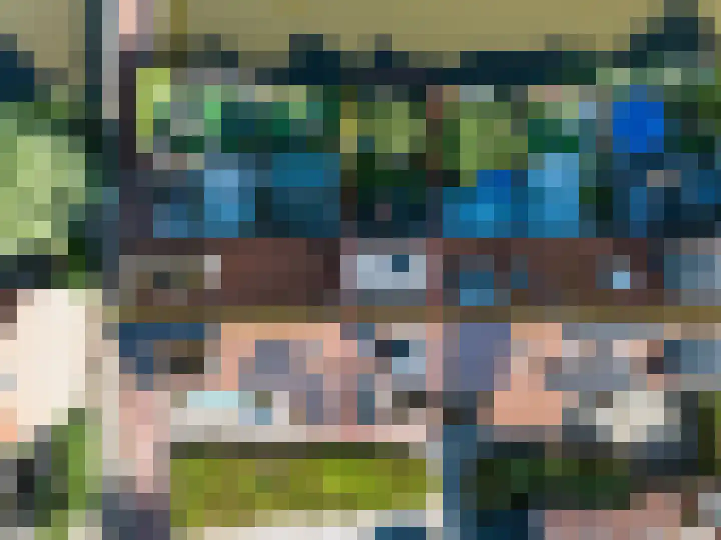 Liesgras 26 Spijkenisse thumbnail 8