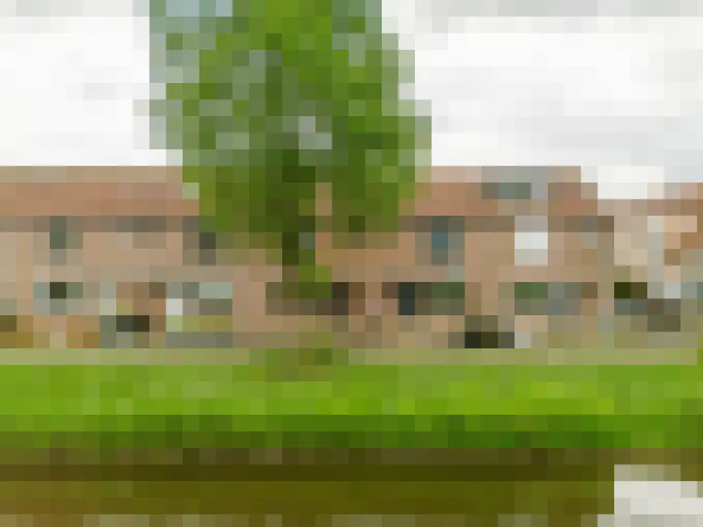 Liesgras 29 in Spijkenisse