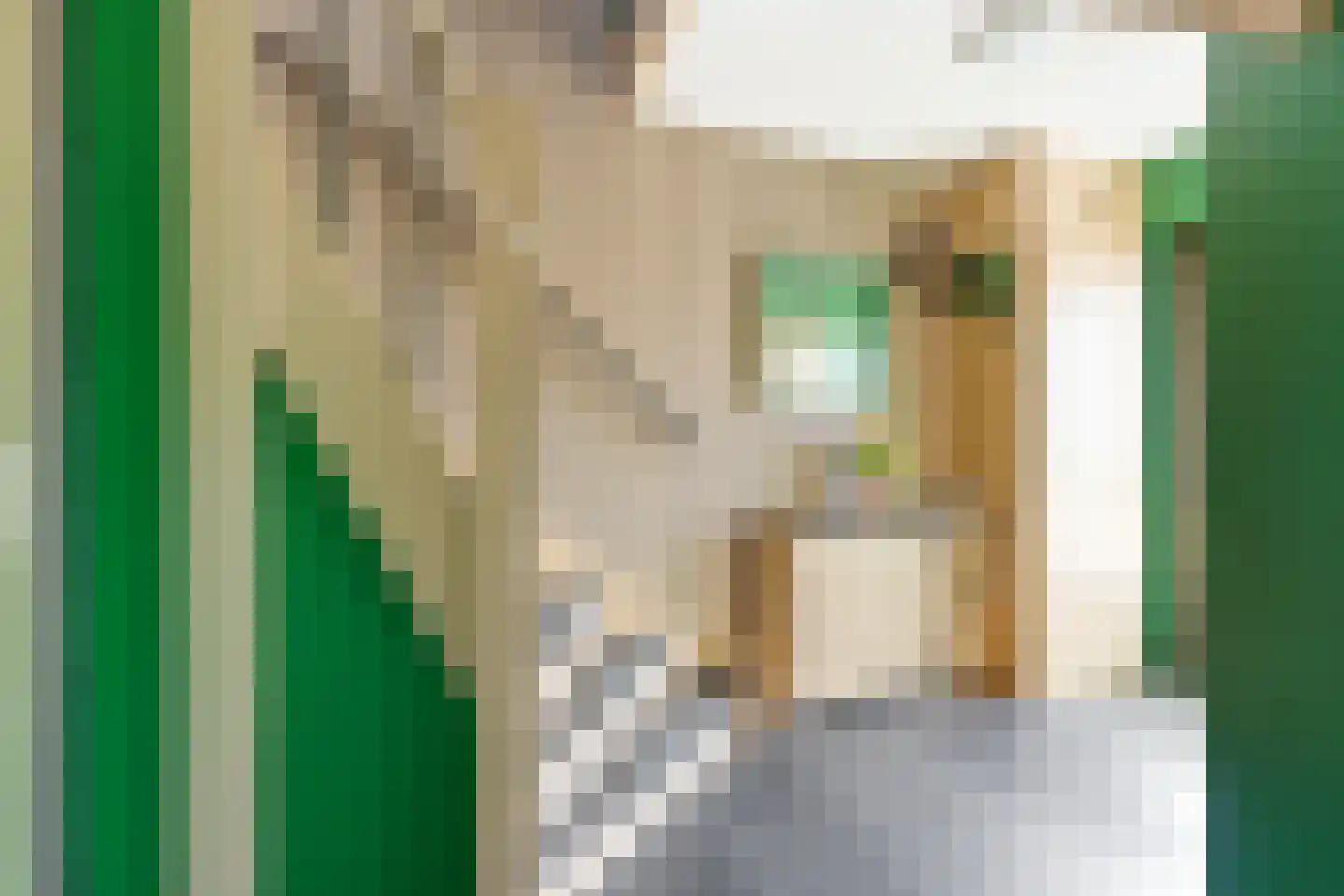 Liesgras 6 Nieuw-Lekkerland thumbnail 13