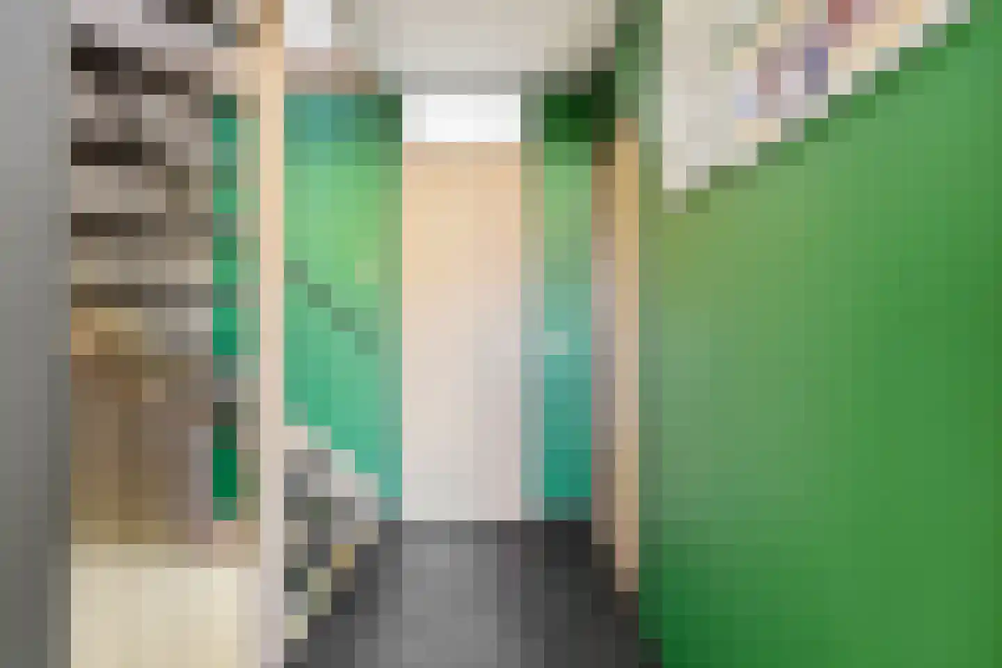 Liesgras 6 Nieuw-Lekkerland thumbnail 22