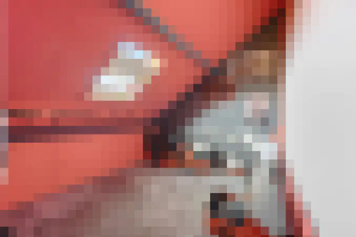 Liesgras 6 Nieuw-Lekkerland thumbnail 25