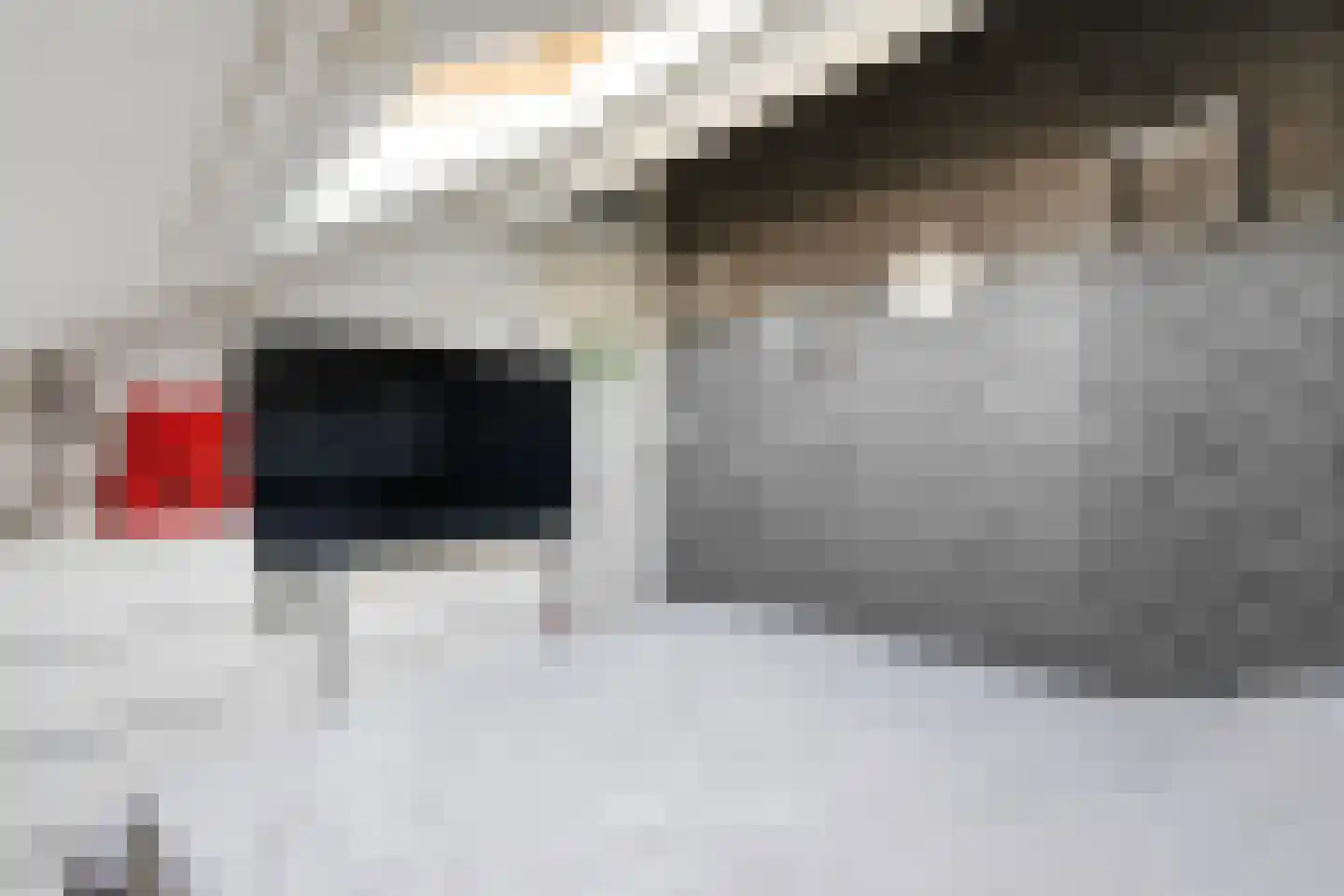 Liesgras 6 Nieuw-Lekkerland thumbnail 30