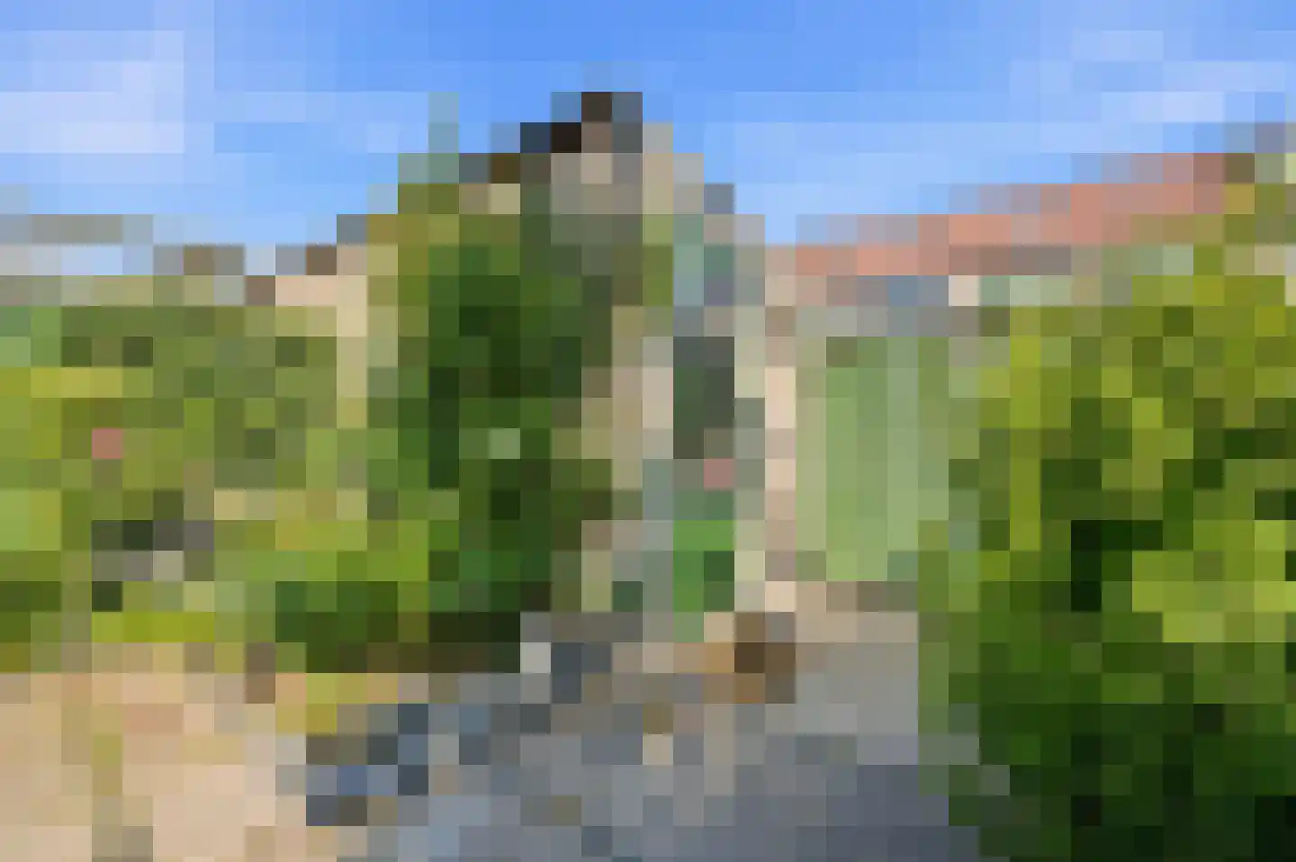 Liesgras 6 Nieuw-Lekkerland thumbnail 37